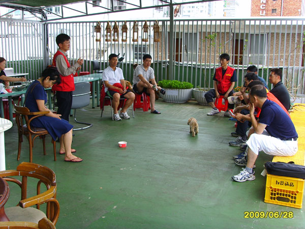 SSL21543.jpg
